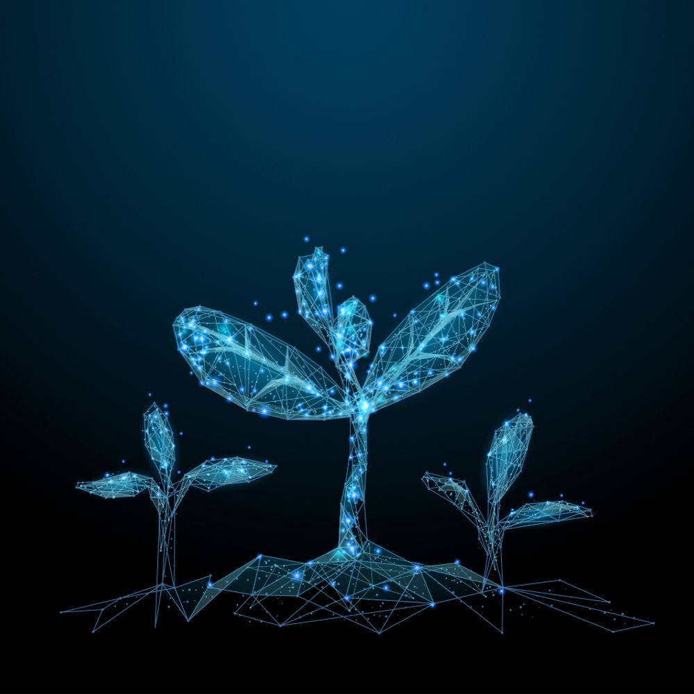 Life Sciences Solutions