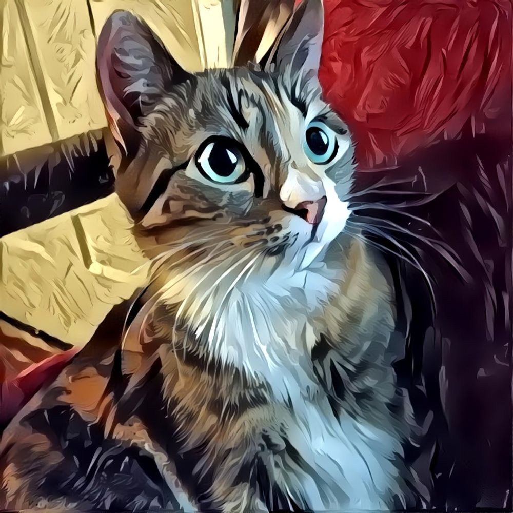 Dr. Shamus