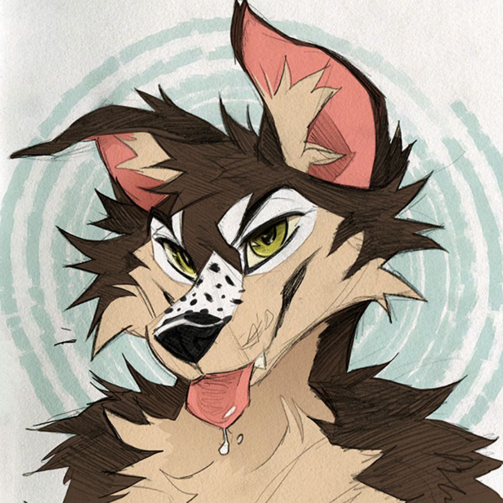 ✨ KiKO  🐕 キコ
