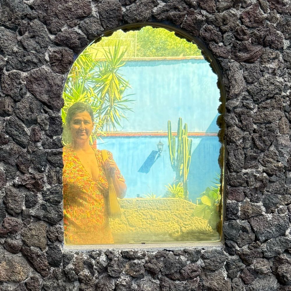 metavist