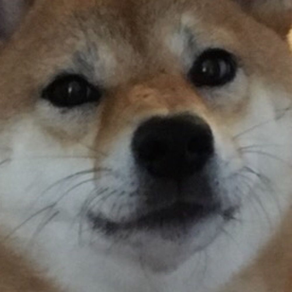 ばかいぬ