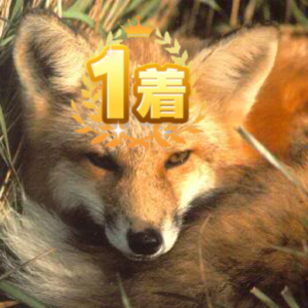 みどりのきつね