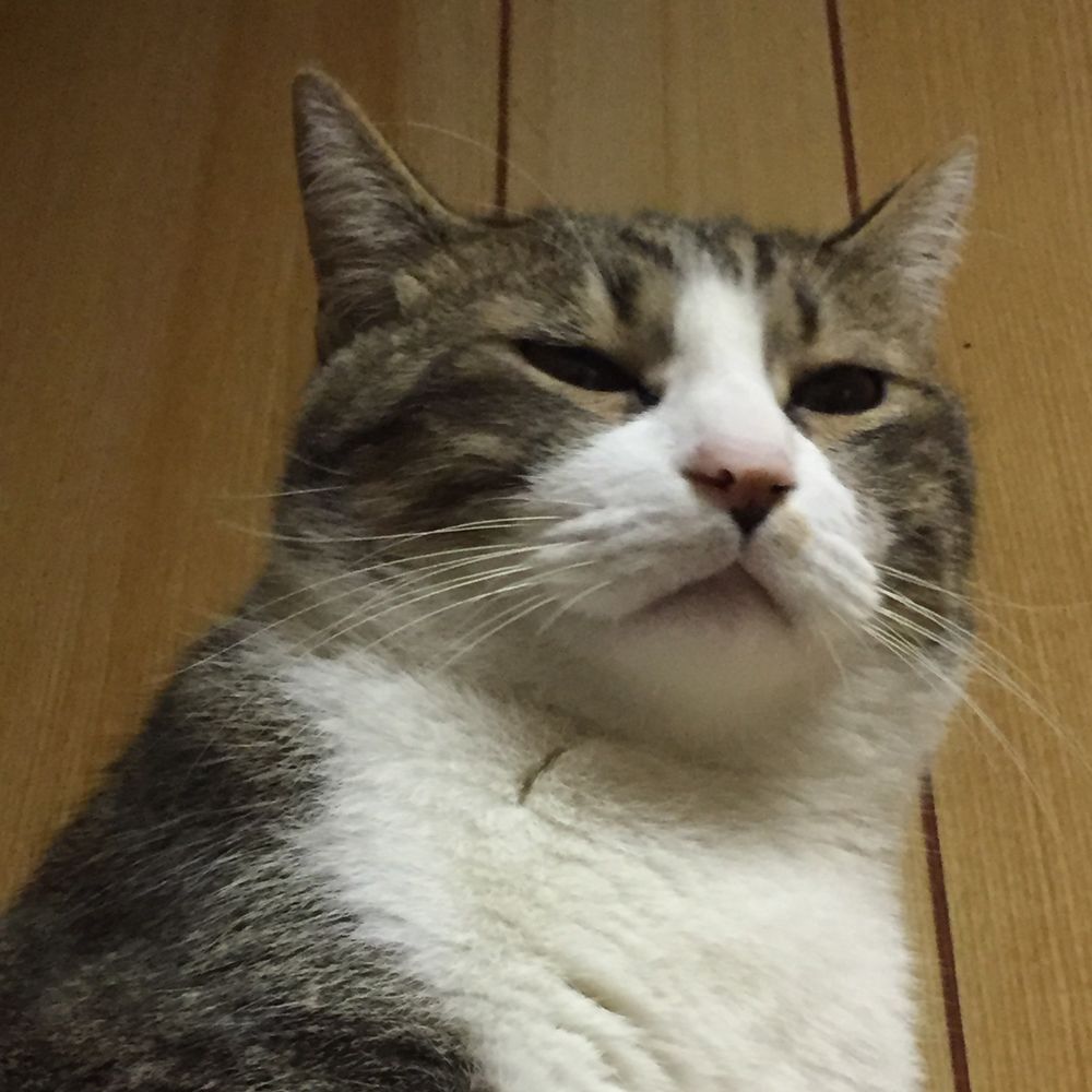 しらす