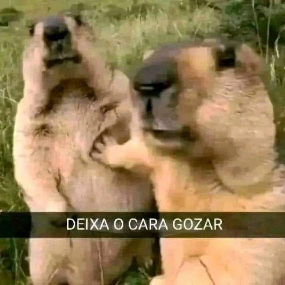 extede