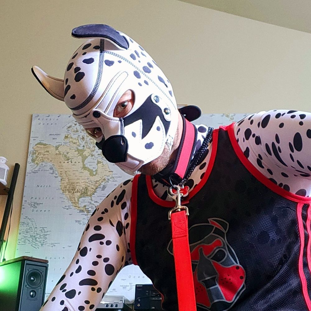 Pup Spots! ➡️ LVFC