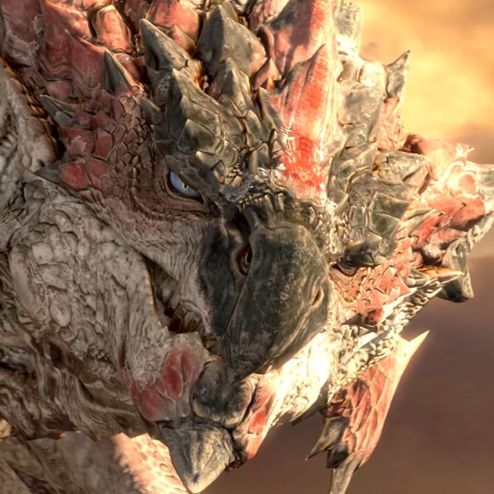 Rathalos Says