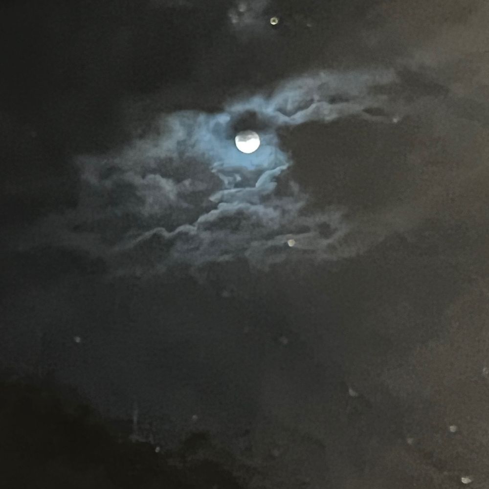 ManOnTheMoon