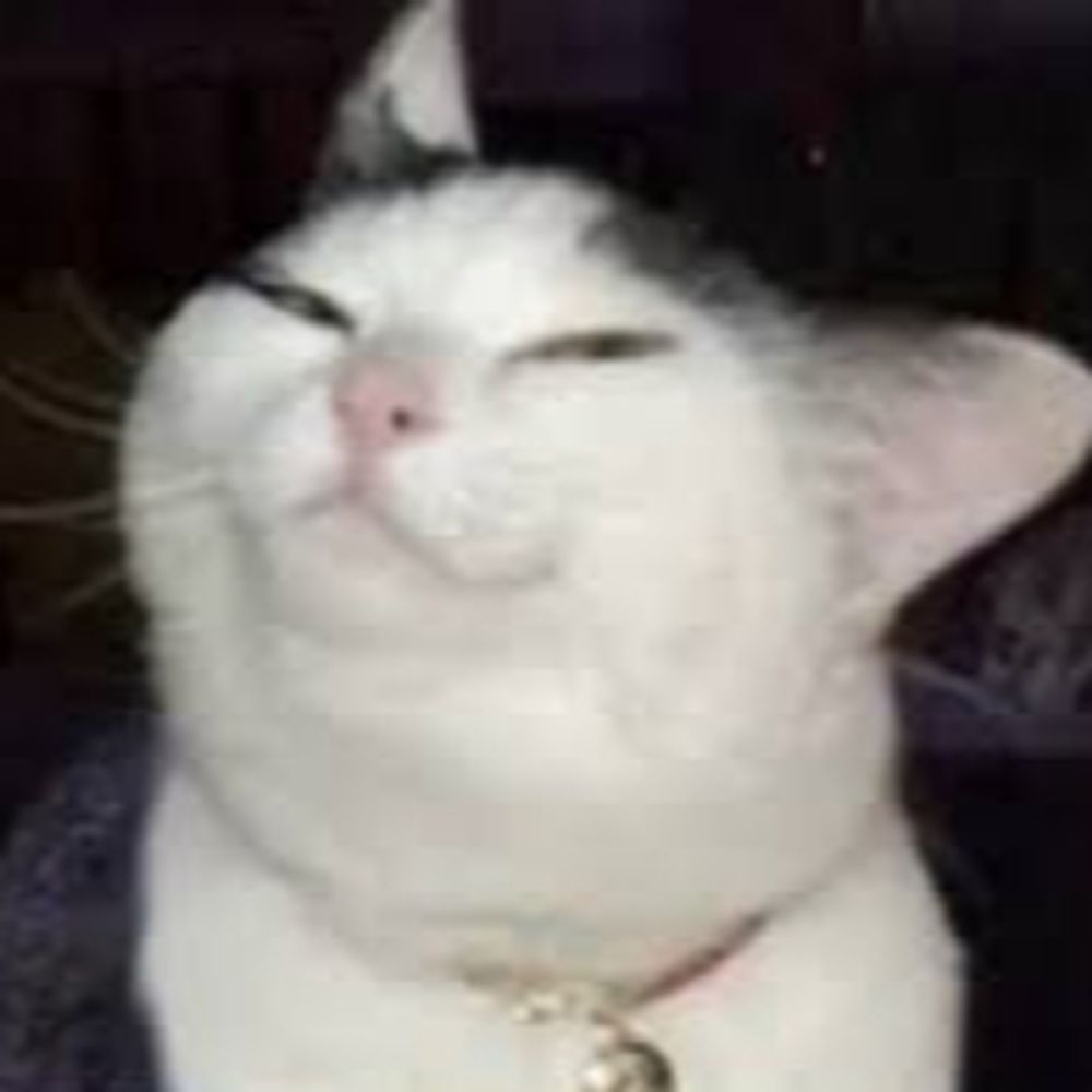 wu4