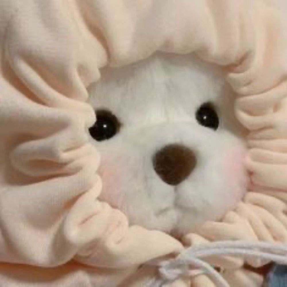 🐻‼️큰일‼️🐶