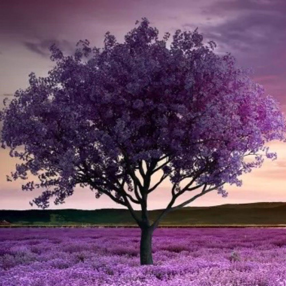 henWen⁷ 💜