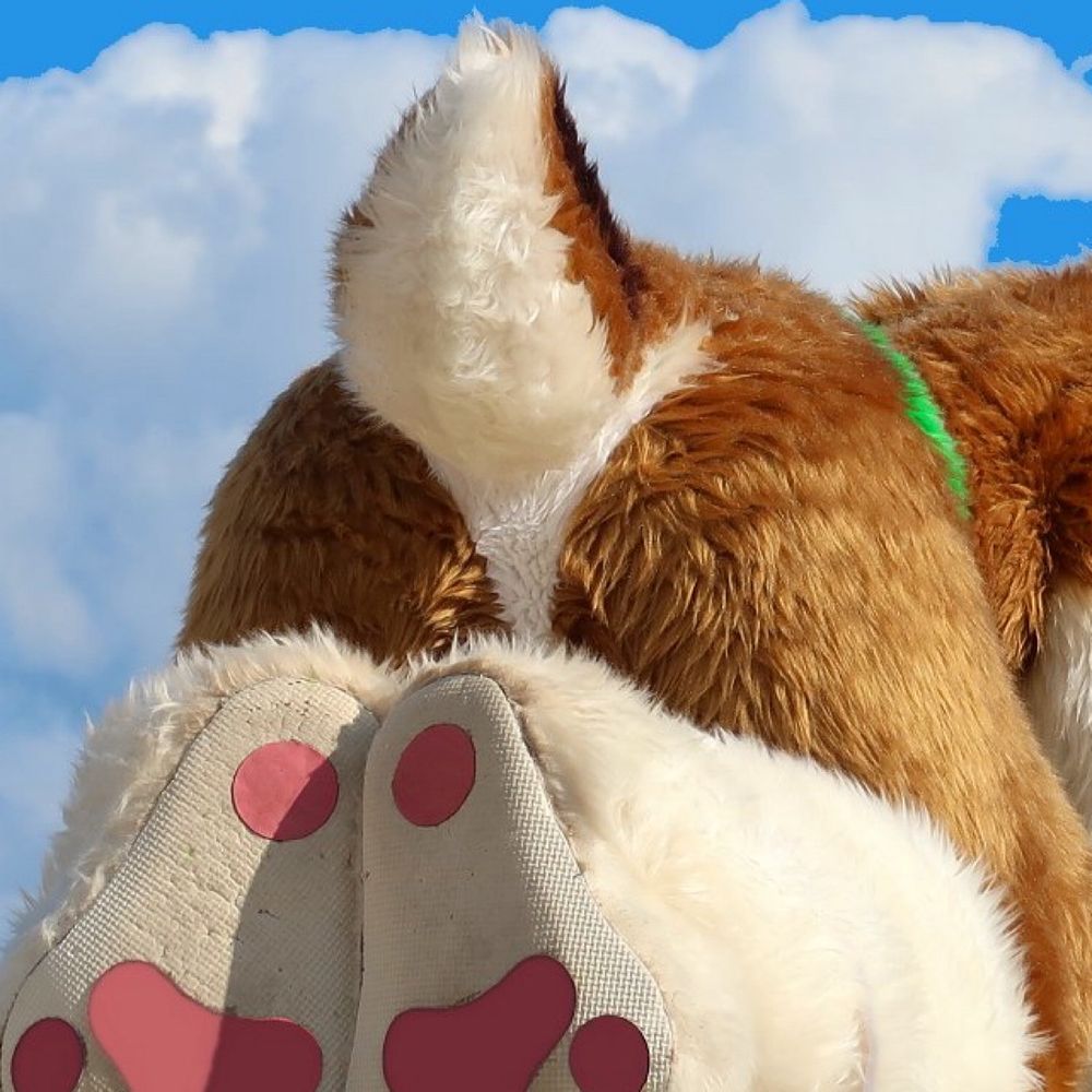 Fursuit Butts 🐾🍑's avatar