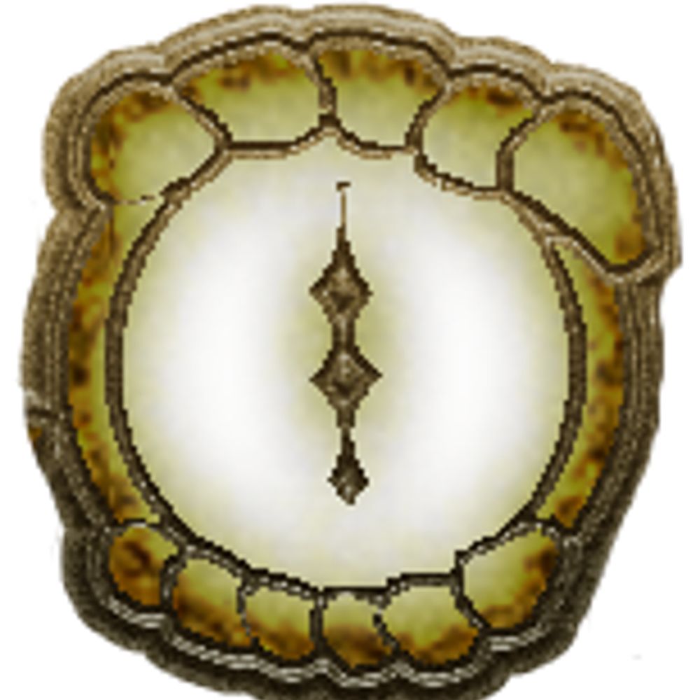 NeoParadoxa