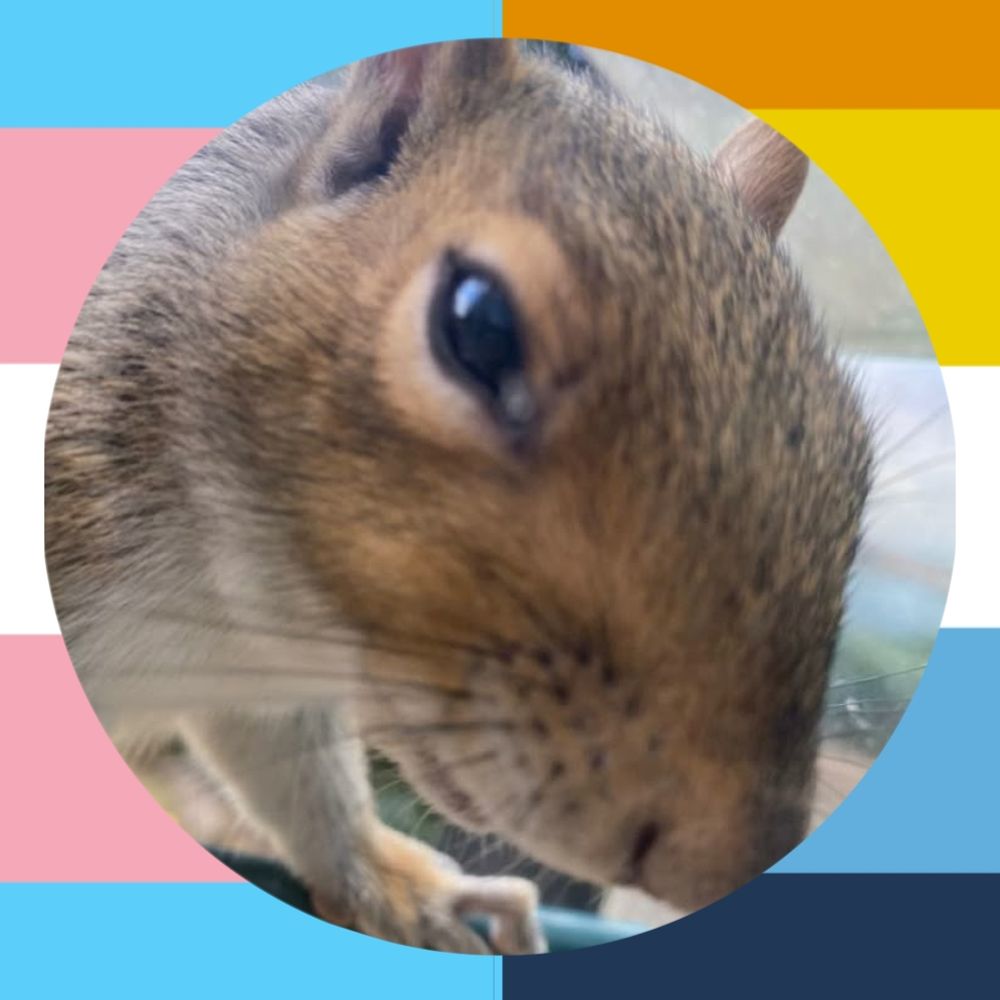 Profile avatar