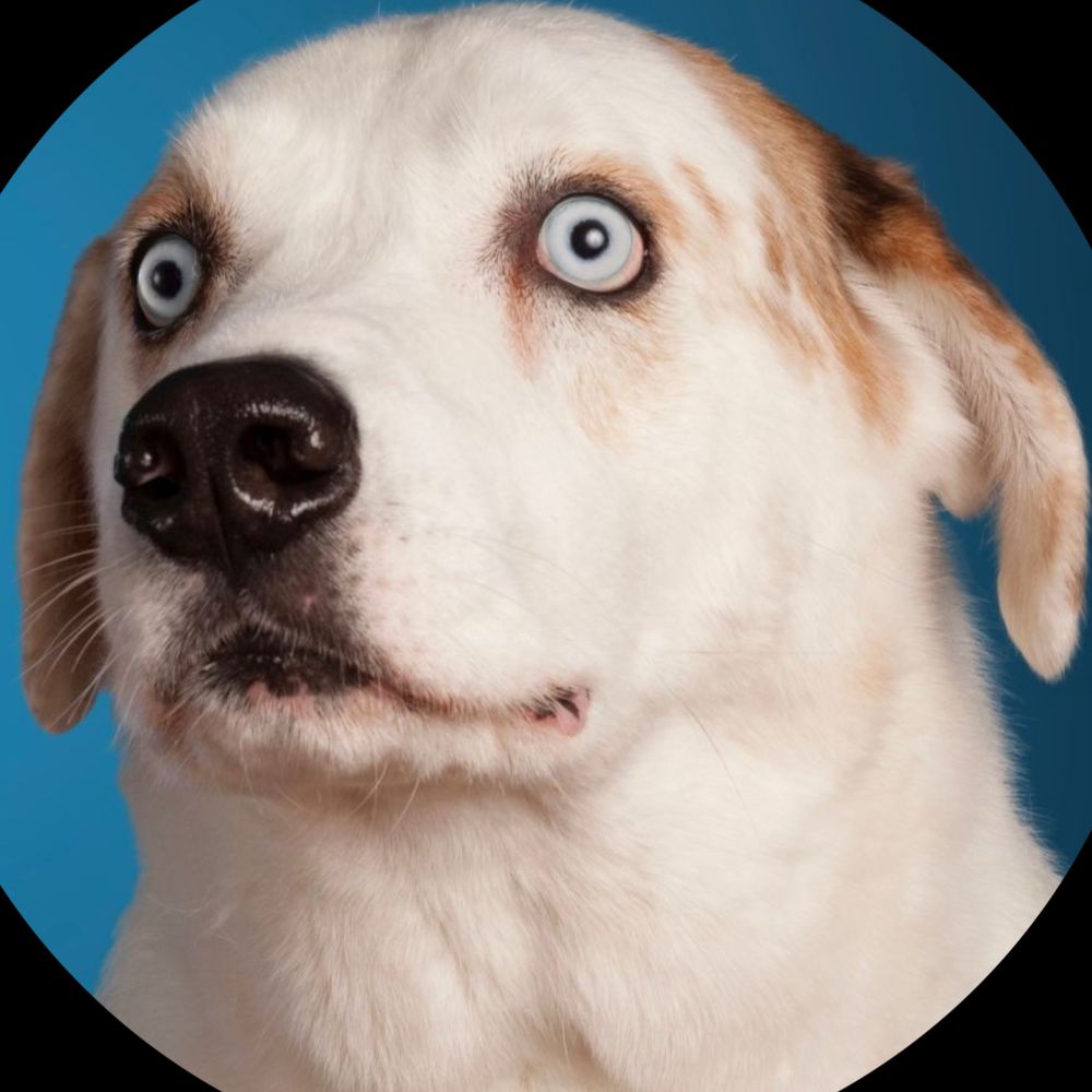 kathyganzer123.bsky.social profile picture