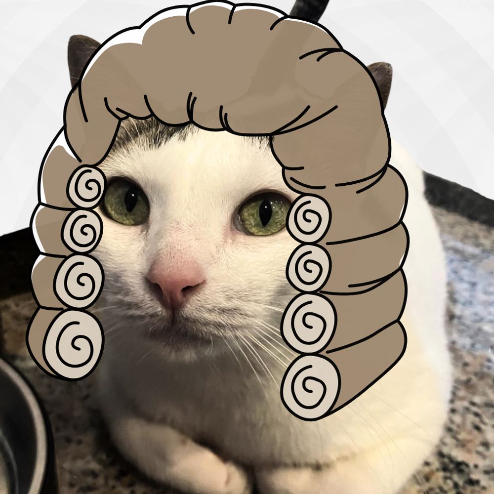 International Catorney
