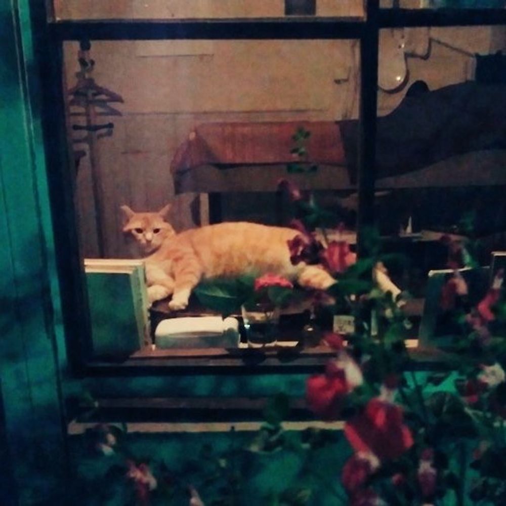 キロ
