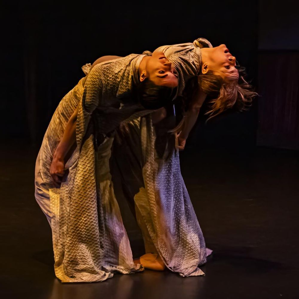 Free Flow Dance Theatre Company
