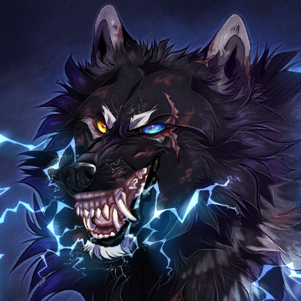 Max⚡️
