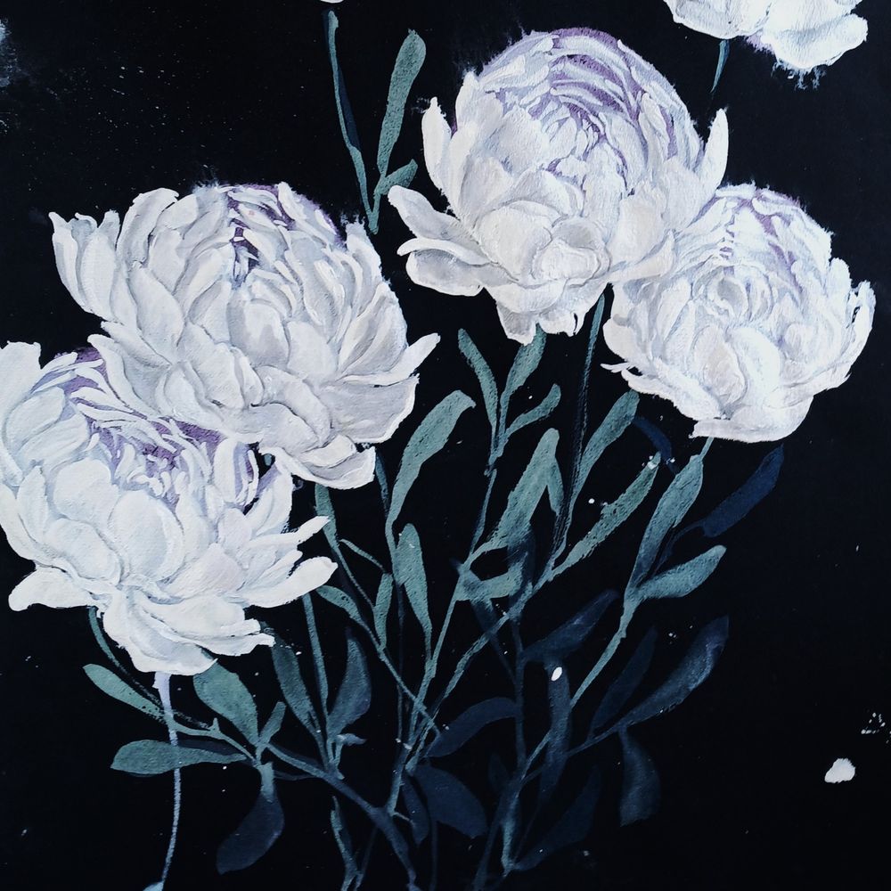 Kate Havekost