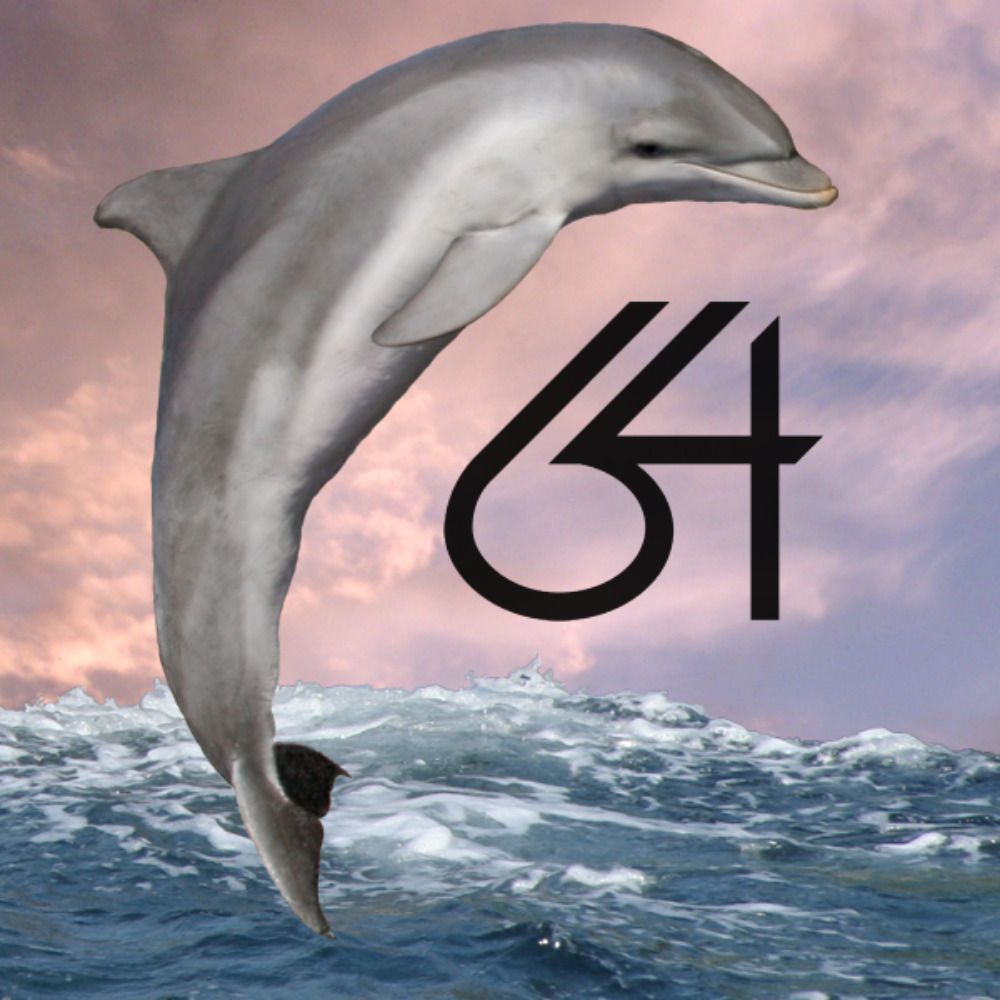 Delphin64 🐬
