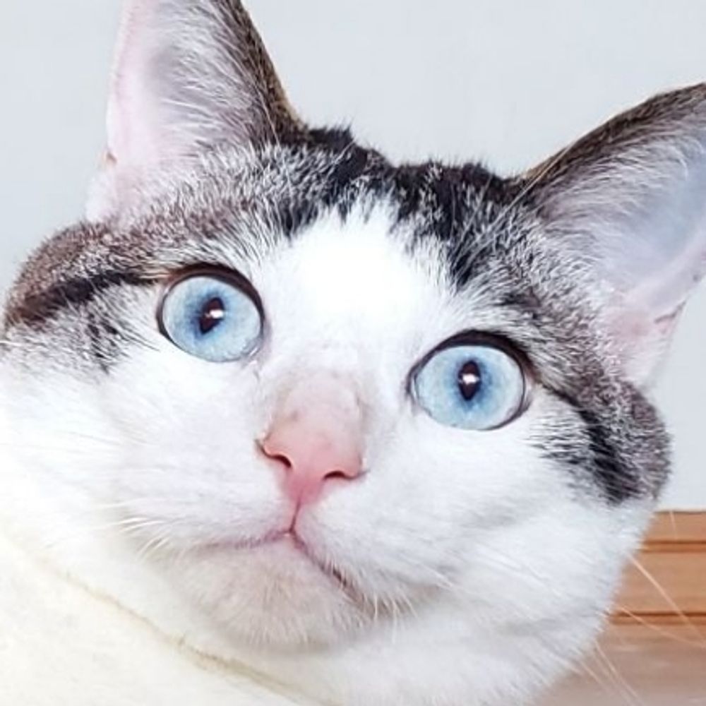 さく