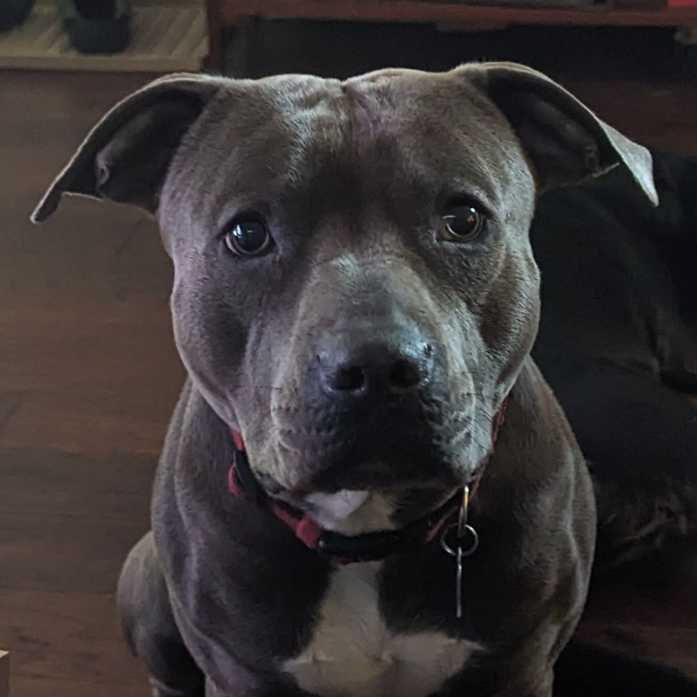 Goofball