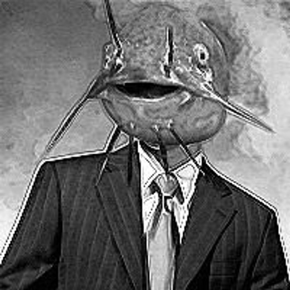 The Cusk