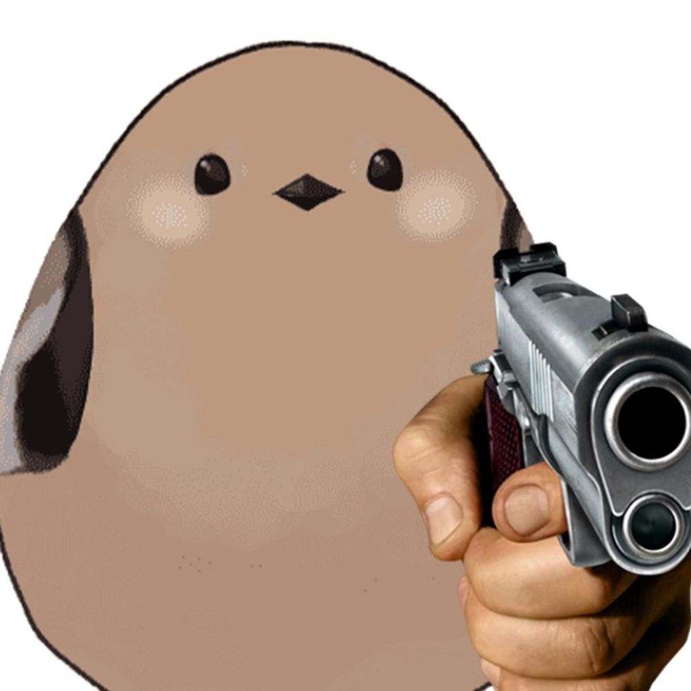 커피새