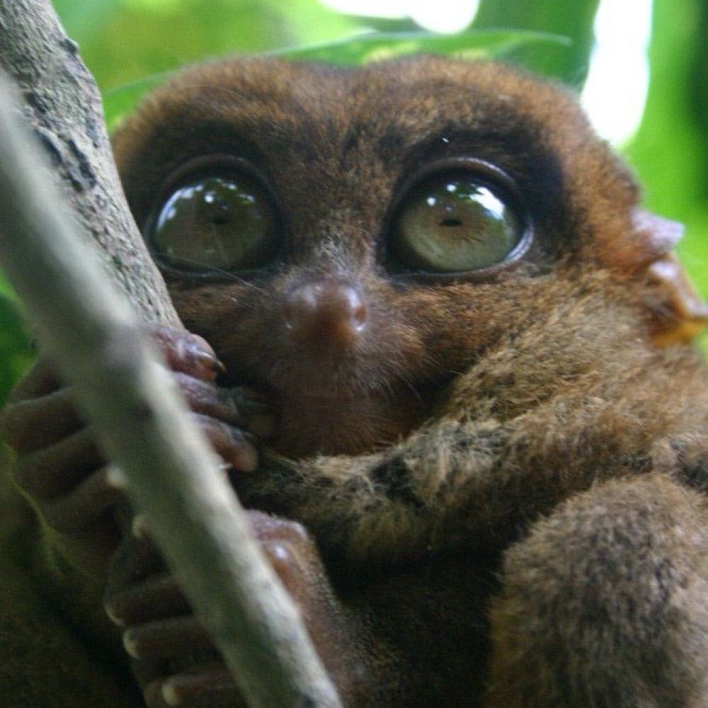 ryanneyturriaga.bsky.social