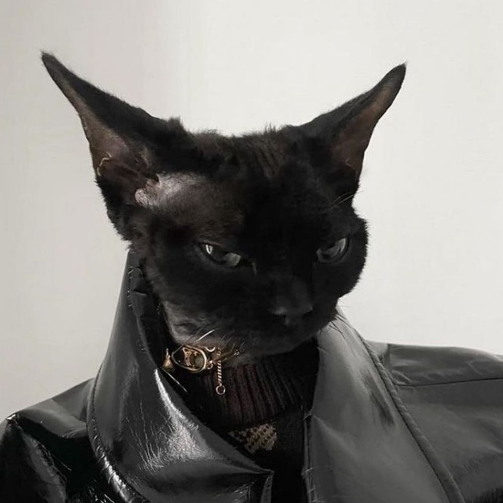 Sam