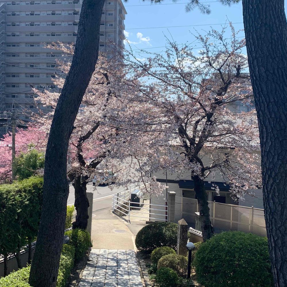 ふ