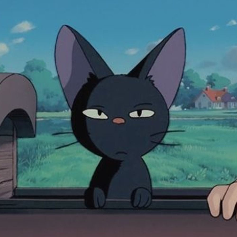 Cuca Beludo Cor aCaju