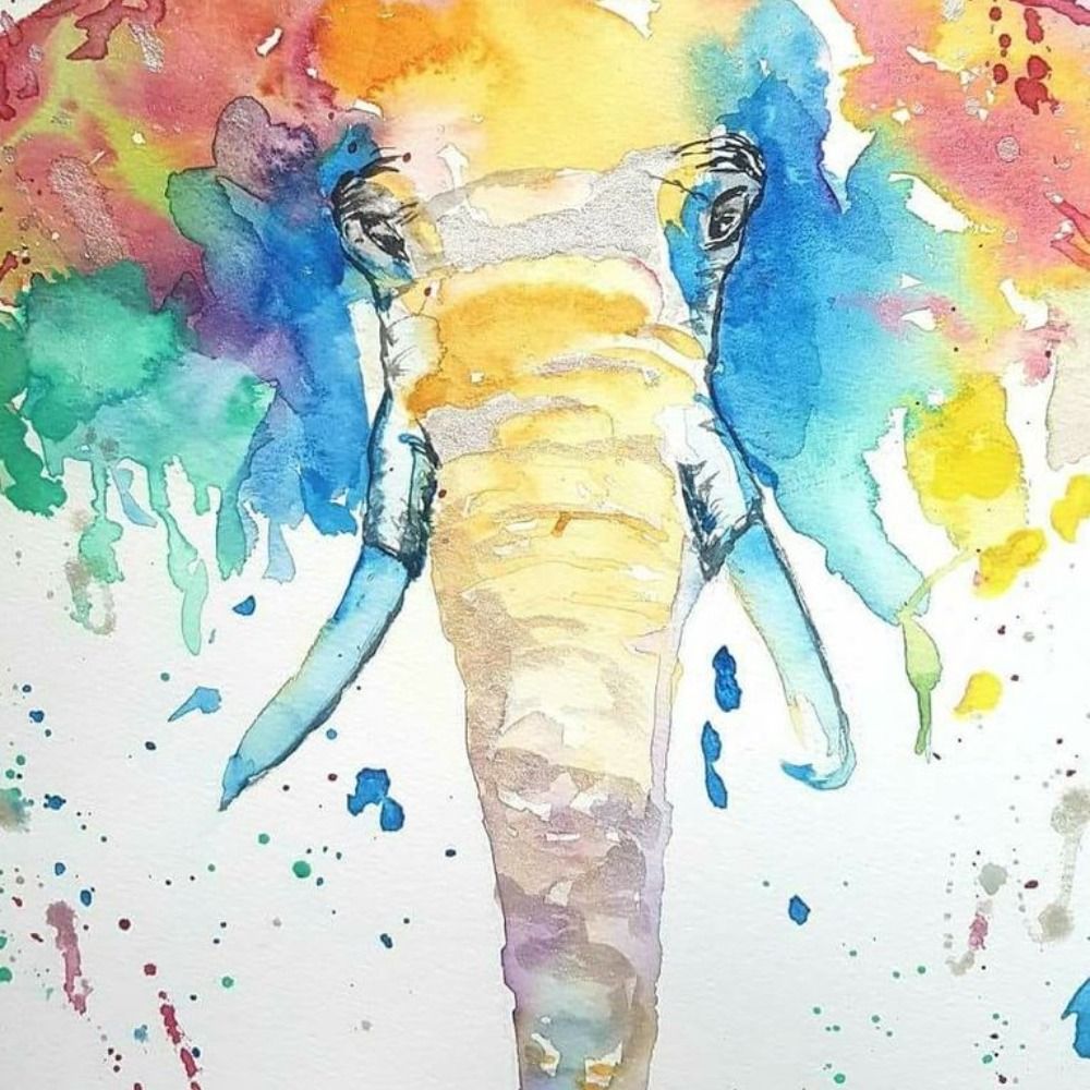 Electric Elephant Cafe