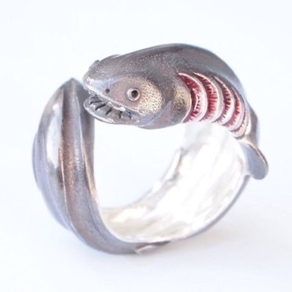 ノブチャンチン🐟