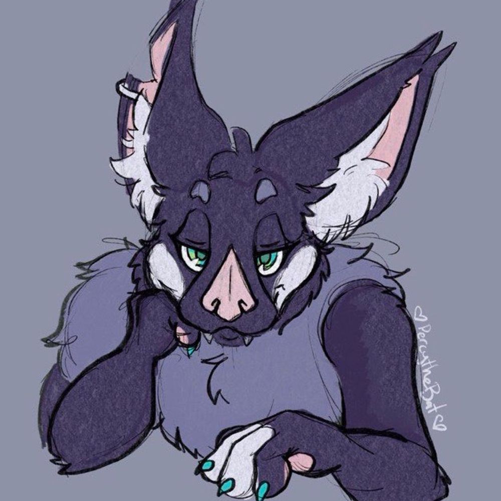 Bailey The Bat