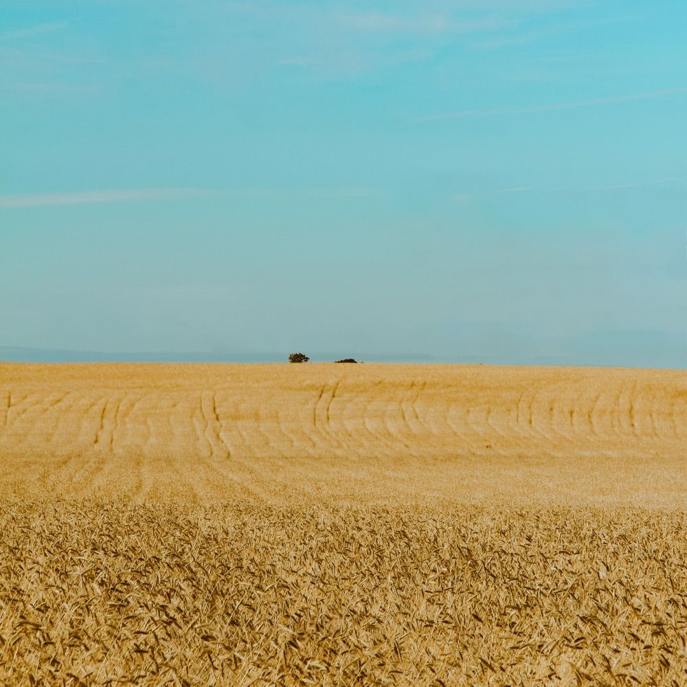 liminal