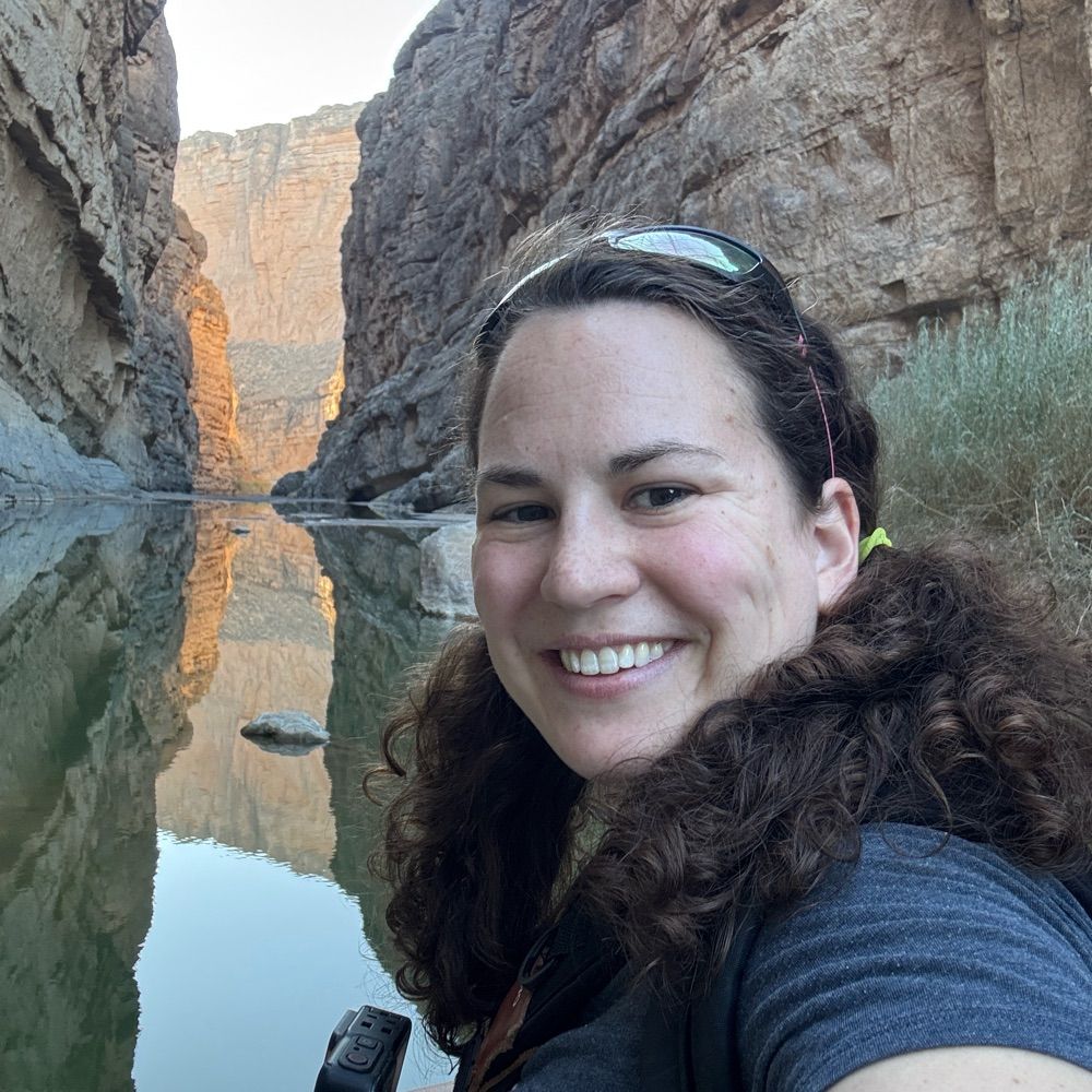 amrartist2009.bsky.social