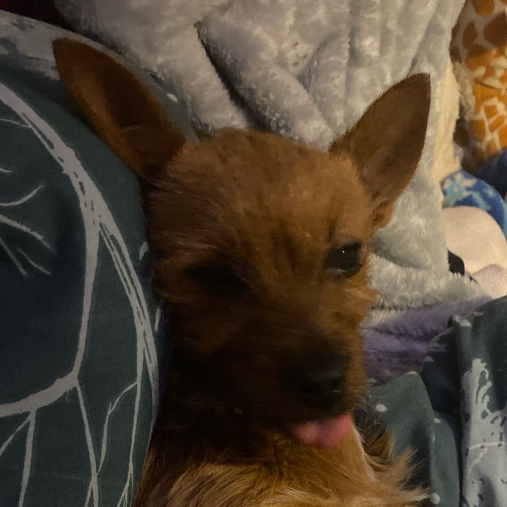 Max :3