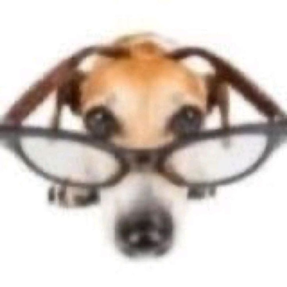 Dyvo das dyvas