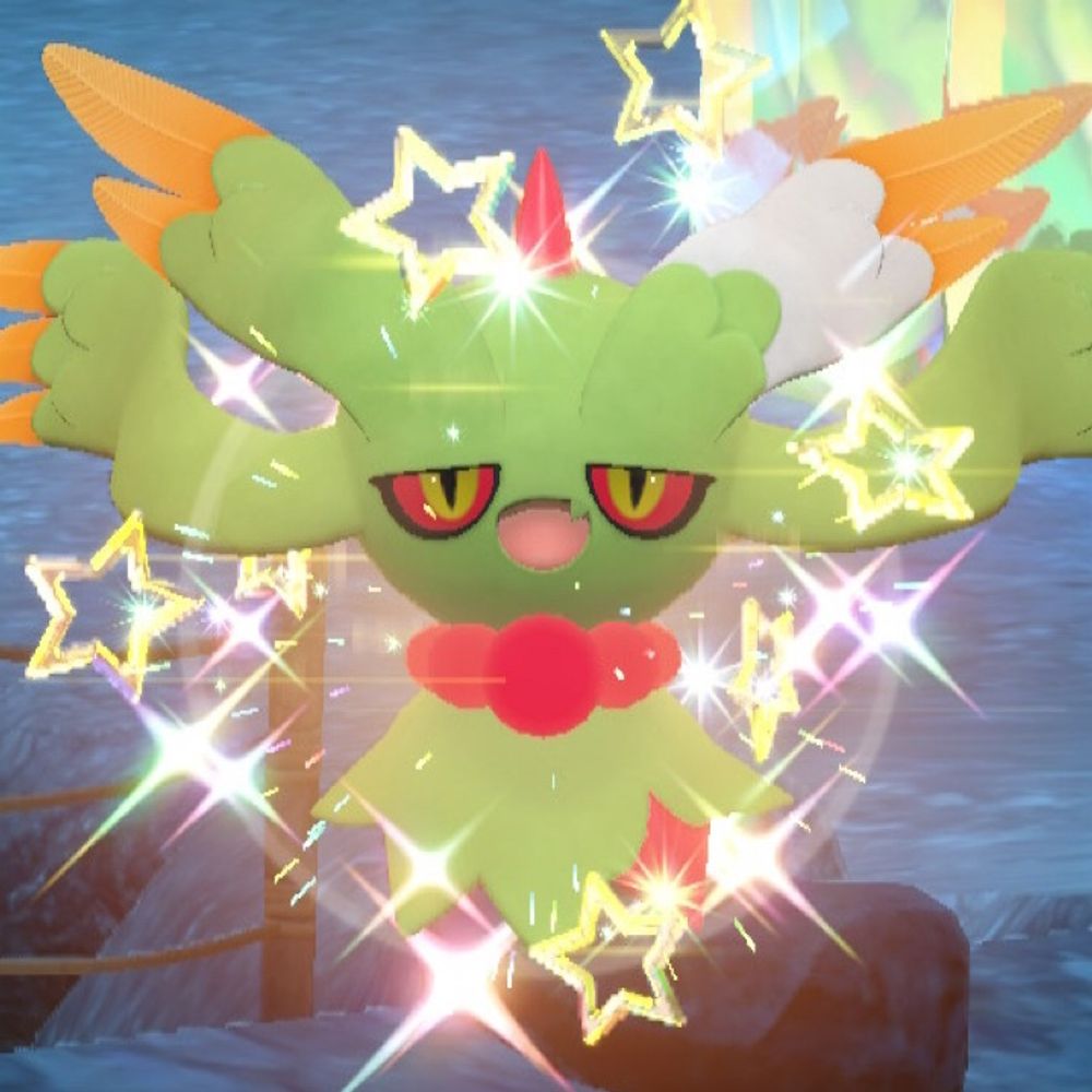 も