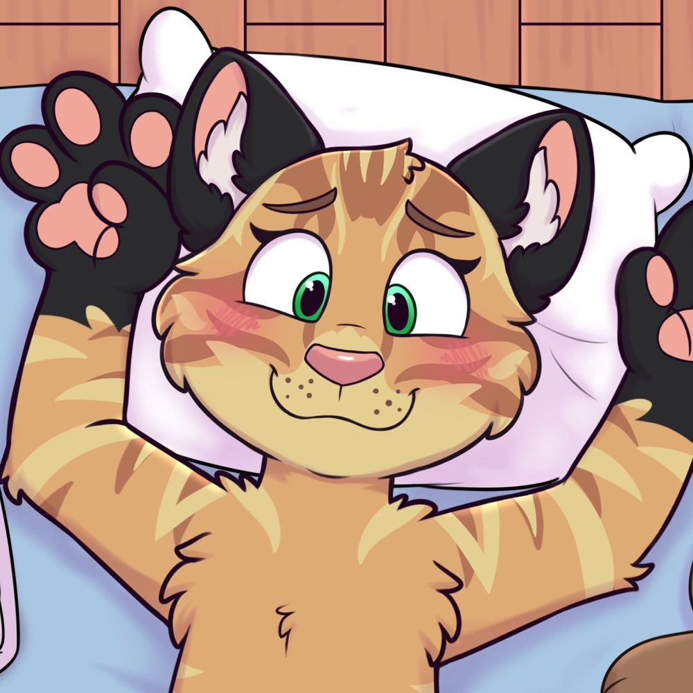 Spaced Out Kitten 🔜 FWA25