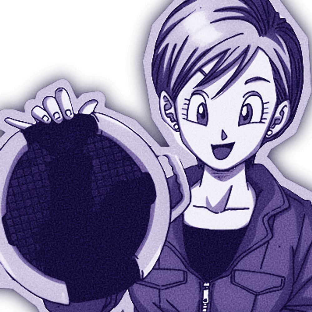 Bulma Briefs