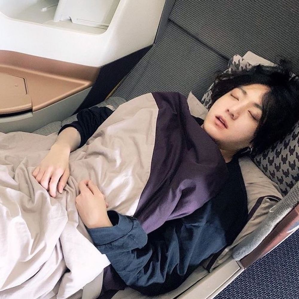 🐯🐰