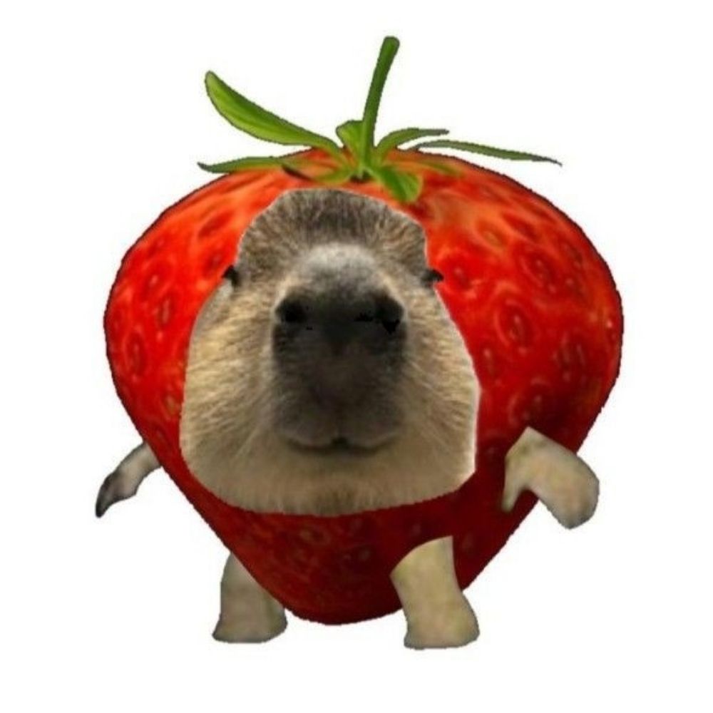 yur_prapesquisa