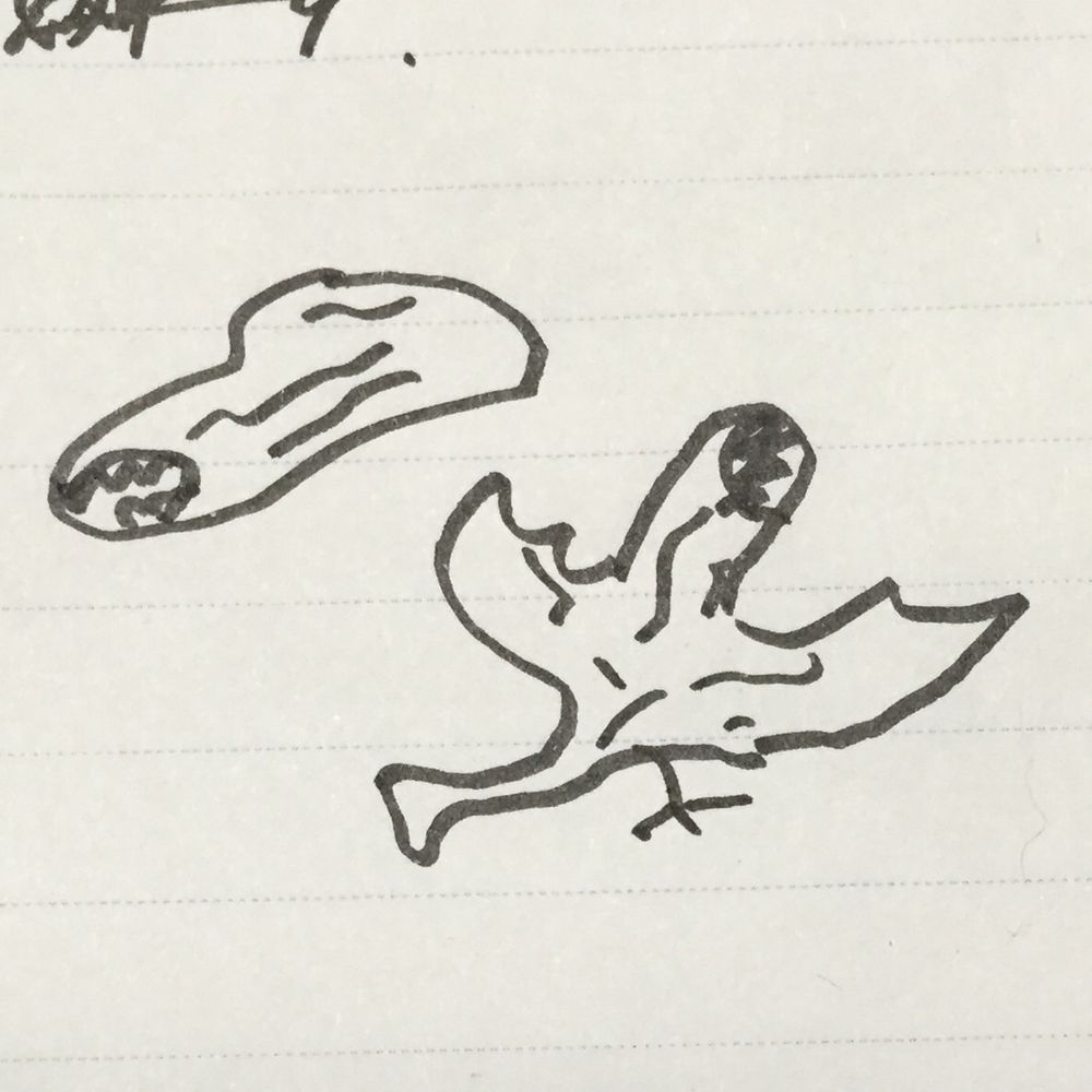 ごん