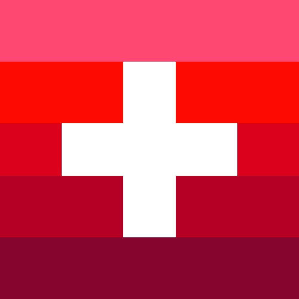 Der Schweiz-Experte