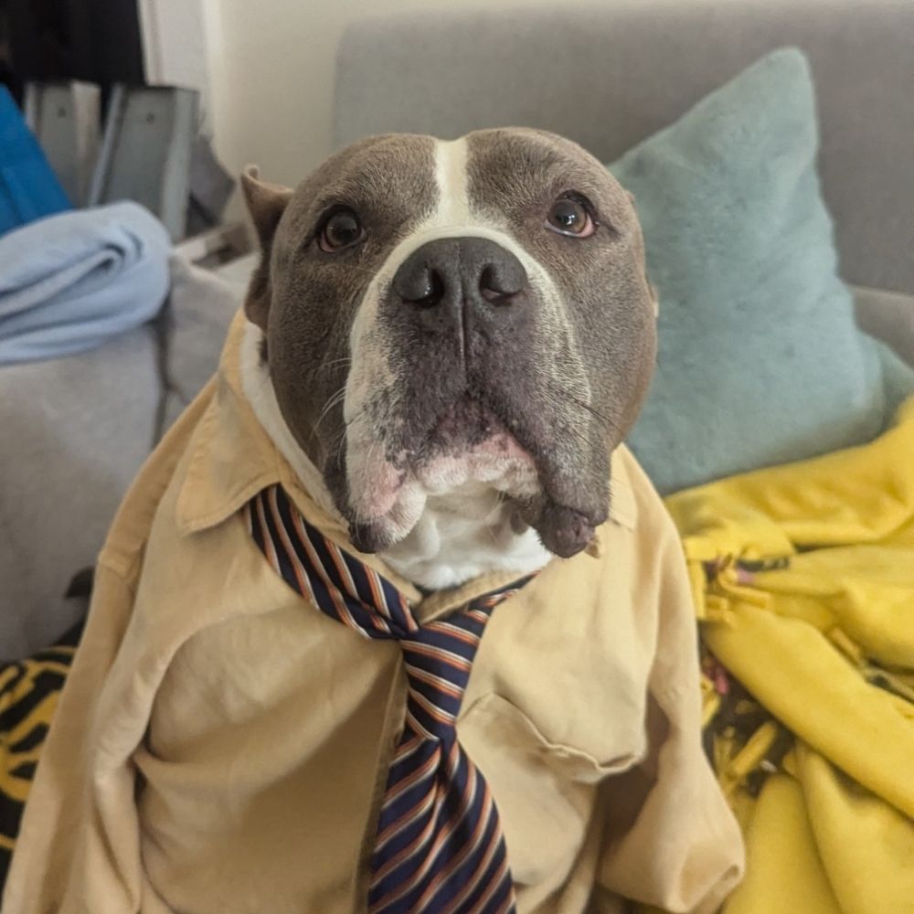 Gus