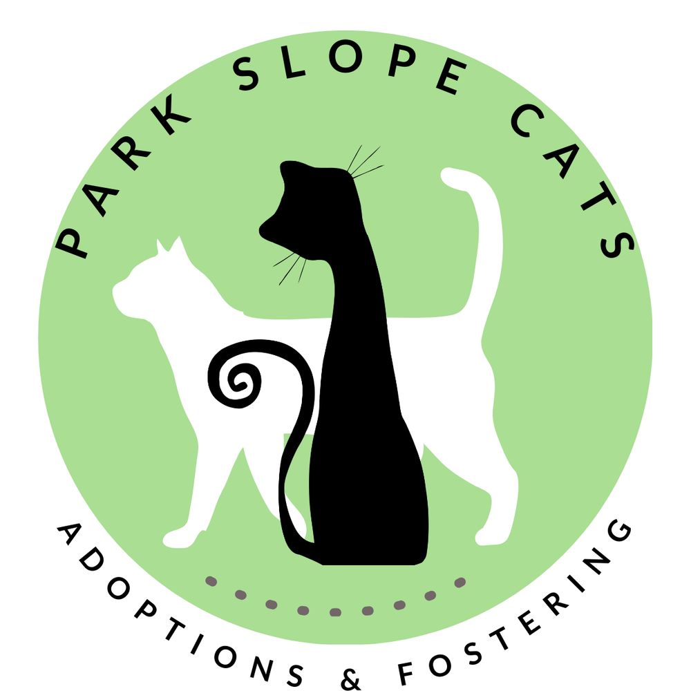 Park Slope Cats