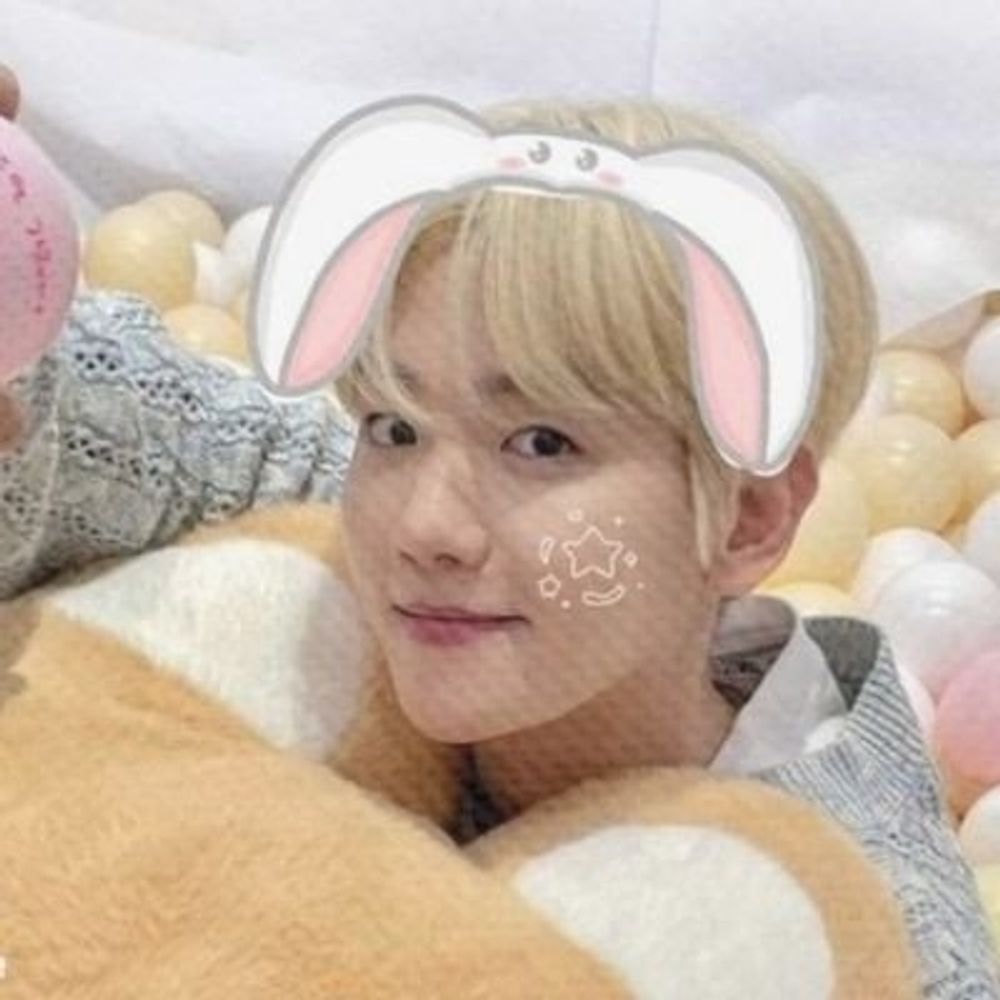 하늘 ➶ ʕ◕⩊◕ʔ🌸