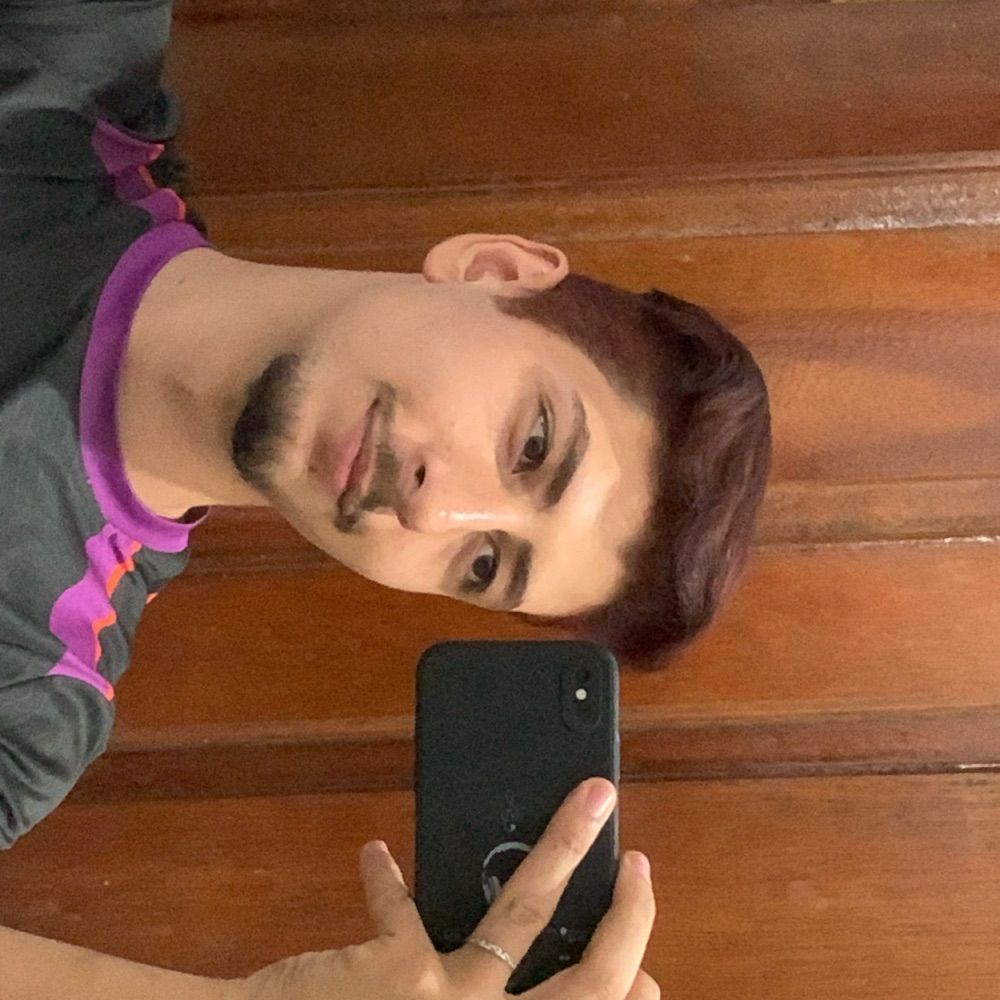 Raposinha Safadinha 🦊